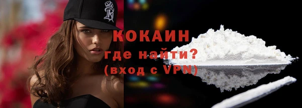 молекула духа Медвежьегорск