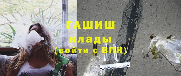 молекула духа Медвежьегорск