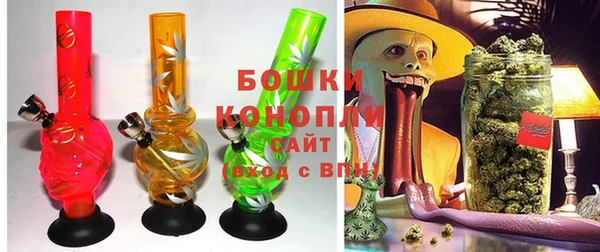 молекула духа Медвежьегорск