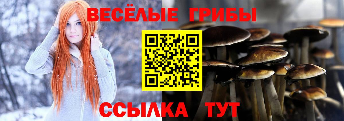 Псилоцибиновые грибы Psilocybine cubensis Красноуфимск
